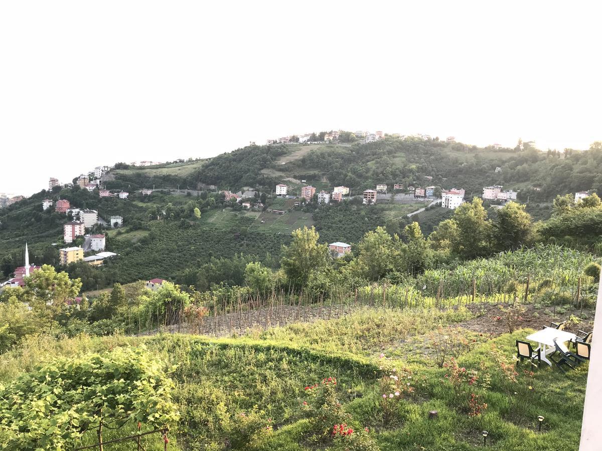 טראבזון Sea & Nature Villa Hisar מראה חיצוני תמונה