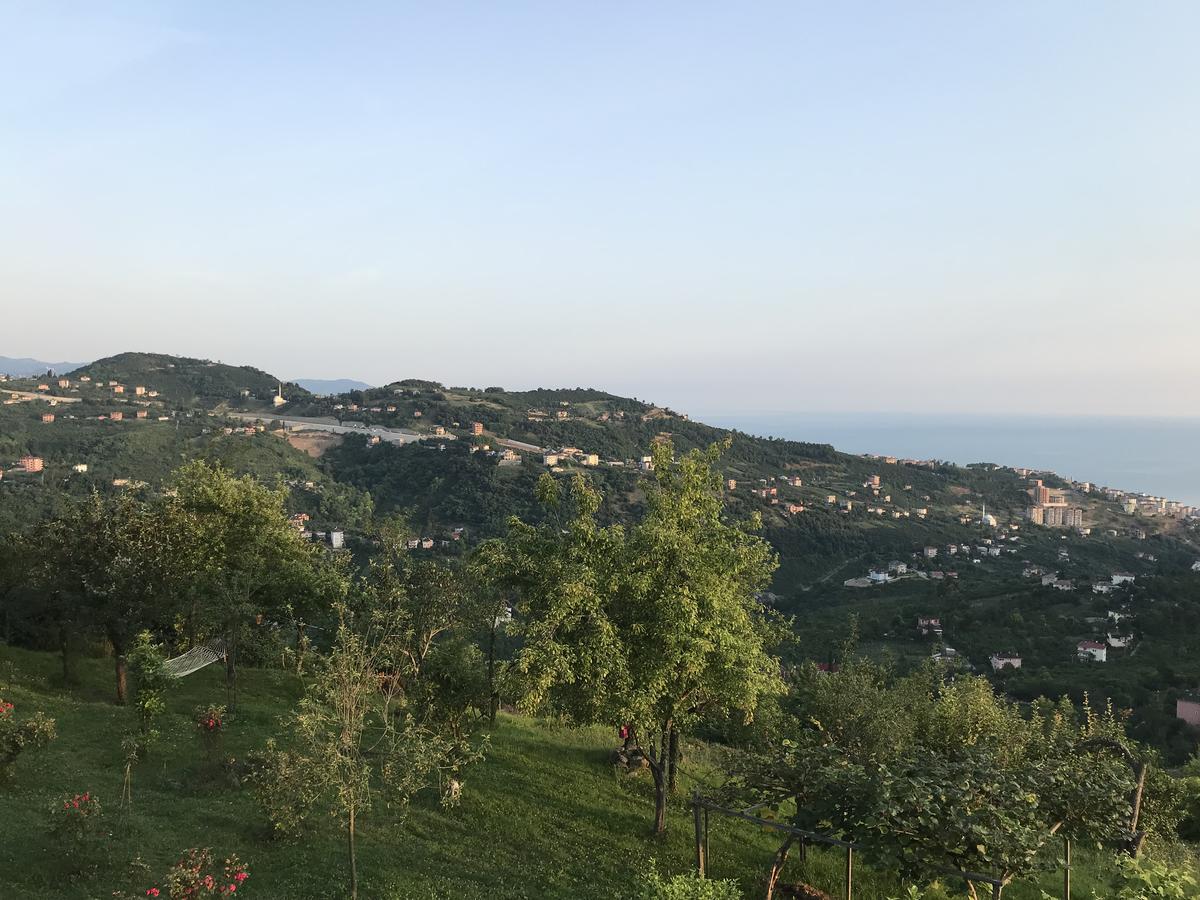 טראבזון Sea & Nature Villa Hisar מראה חיצוני תמונה